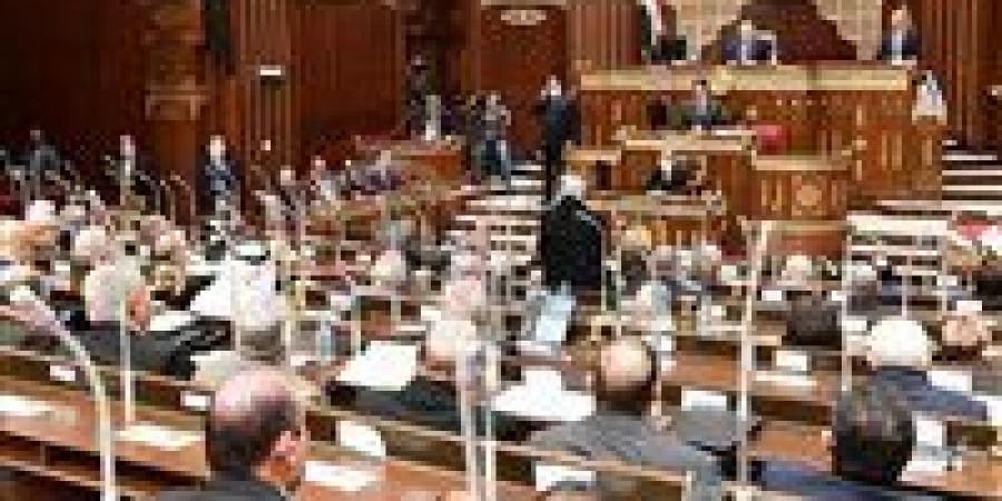 برلماني: الدولة المصرية تعزز جهودها لتوطين صناعة النقل وتعزيز الاقتصاد الوطني