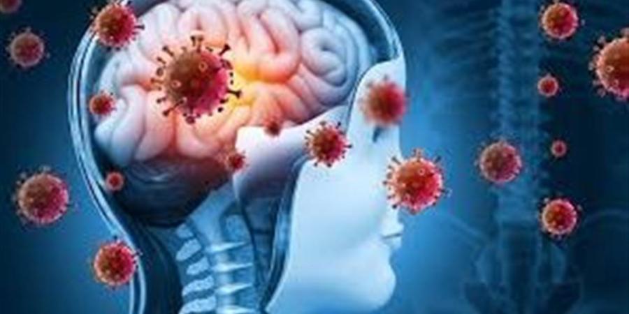 لا صحة للتفشي.. الحقيقة الكاملة وراء استقرار الوضع الوبائي للسحائي في مصر