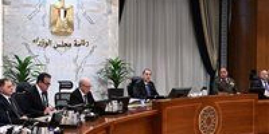 قرارات عاجلة من مجلس الوزراء اليوم الأربعاء