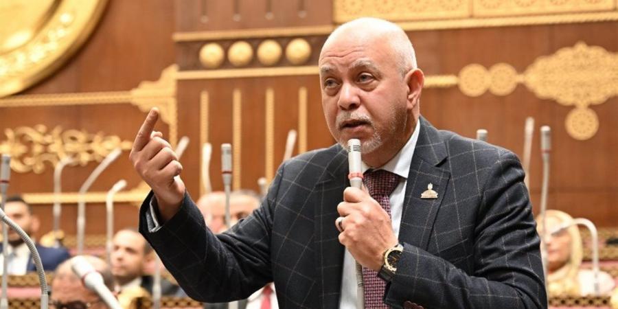 الجندي: قرارات الحكومة بزيادة الأجور تعزز الحماية الاجتماعية وتؤكد انحياز الدولة للمواطن