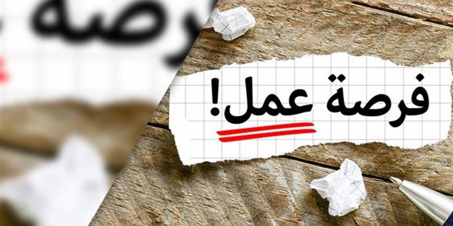 "العمل" تعلن عن 255 وظيفة برواتب تصل إلى 9000 جنيه