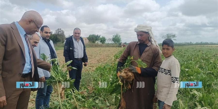 "زراعة الإسماعيلية" تكثف المرور الميداني على محاصيل بنجر السكر