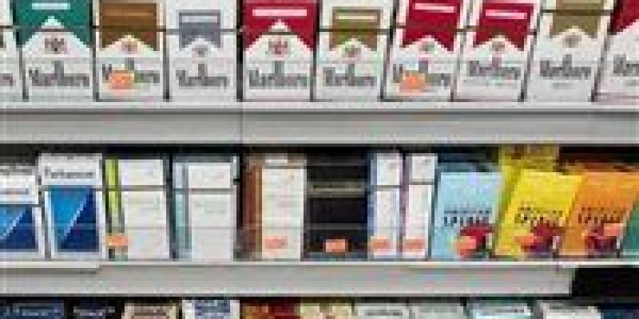 أسعار السجائر في مصر اليوم بعد الزيادة الأخيرة وتأثيرها على الأسواق