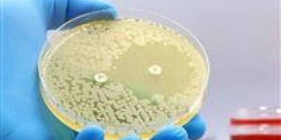 ثورة طبية .. الذكاء الاصطناعي يكتشف مضادات حيوية تهزم أخطر البكتيريا المقاومة