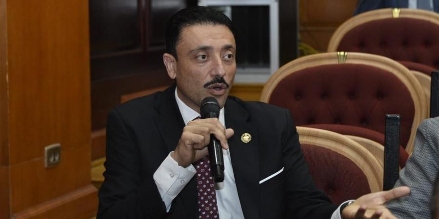 «إسكان الشيوخ» توافق على مقترح النائب محمد رزق لإنشاء كباري مشاة بشارع التسعين الشمالي بالقاهرة الجديدة