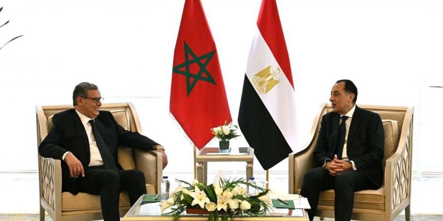 التفاصيل الكاملة لأعمال الدورة الأولى للجنة التنسيق والمتابعة المصرية المغربية المشتركة