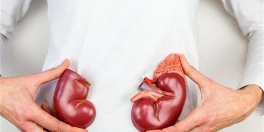 تعرف على علاقة اللثة بأمراض الكلى؟