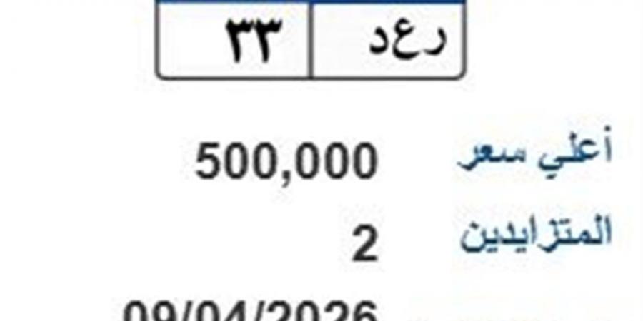 لوحة (رع د- 33) المميزة يصل سعرها 500 ألف جنيه