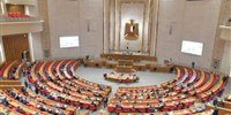 اليوم.. وزيرا العدل والإنتاج الحربي أمام خطة النواب لمناقشة الحساب الختامي للوزارتين