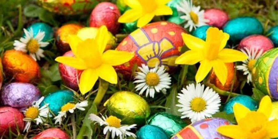 ألوان البيض للأطفال.. كيف تصنعها بمواد طبيعية آمنة؟