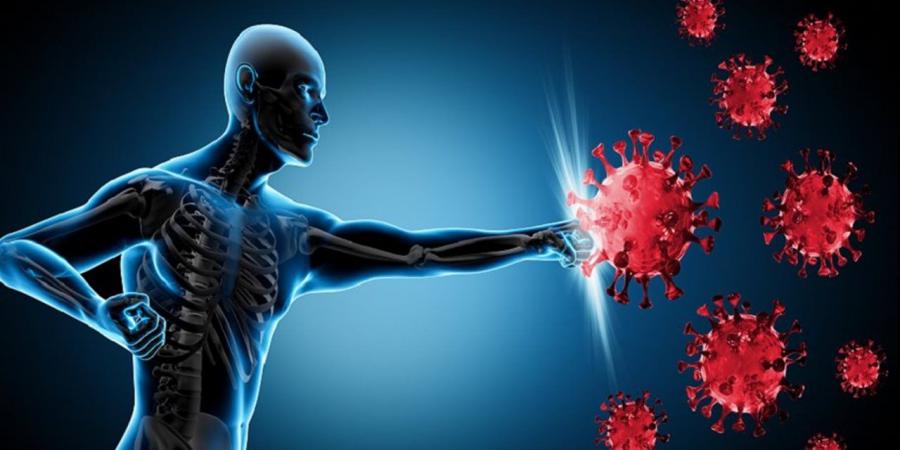 جهاز المناعة.. كيف تعززه بطرق طبيعية؟