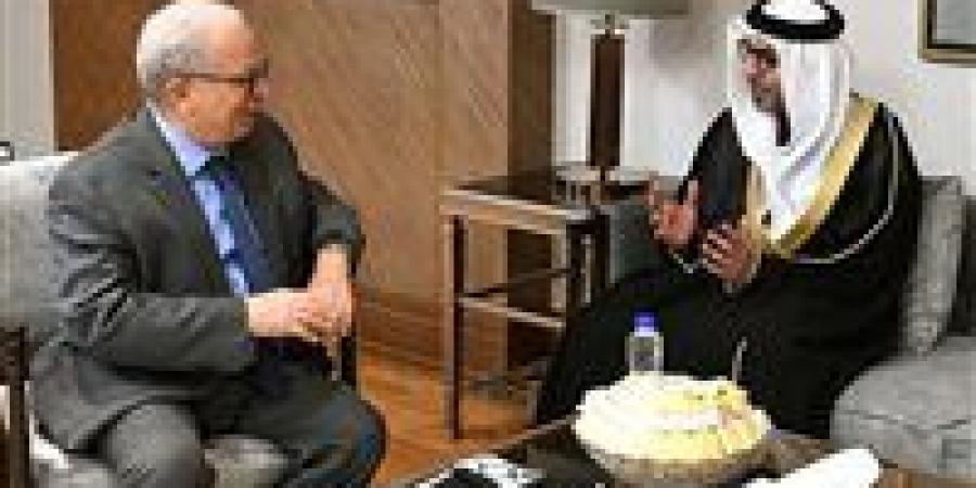 نائب رئيس الوزراء للشئون الاقتصادية يلتقي سفير دولة الإمارات لدى القاهرة