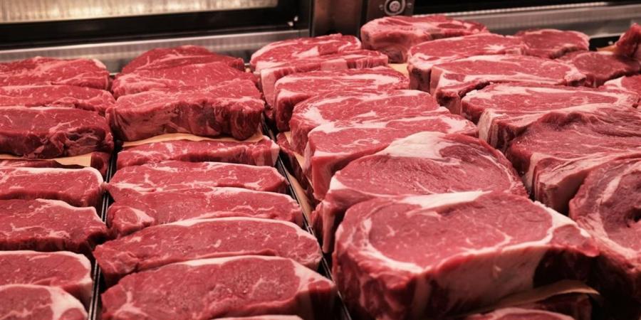 أسعار اللحوم اليوم الإثنين 6 إبريل 2026 داخل أسواق محافظة الغربية