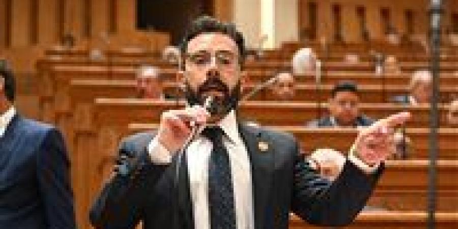 النائب إسلام قرطام يحذر: مخالفات متبقيات المبيدات تهدد سمعة الصادرات الزراعية المصرية