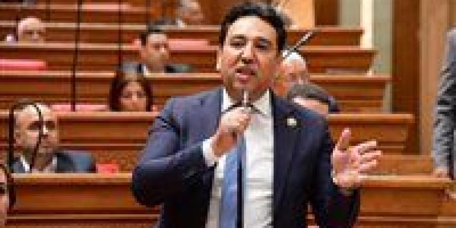 النائب أيمن محسب: القاهرة تتحرك كـ"صمام أمان" لإجهاض سيناريوهات الفوضى الإقليمية