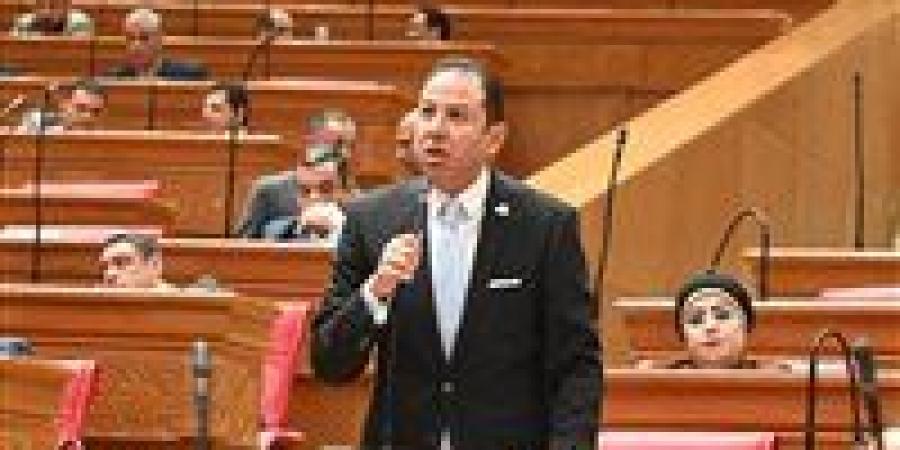 "لو عين الحكومة لا ترى عين البرلمان ترصد".. النائب حسن عمار يكشف لـ برلمان تحيا مصر حقيقة تهريب البترول من الموانئ البحرية