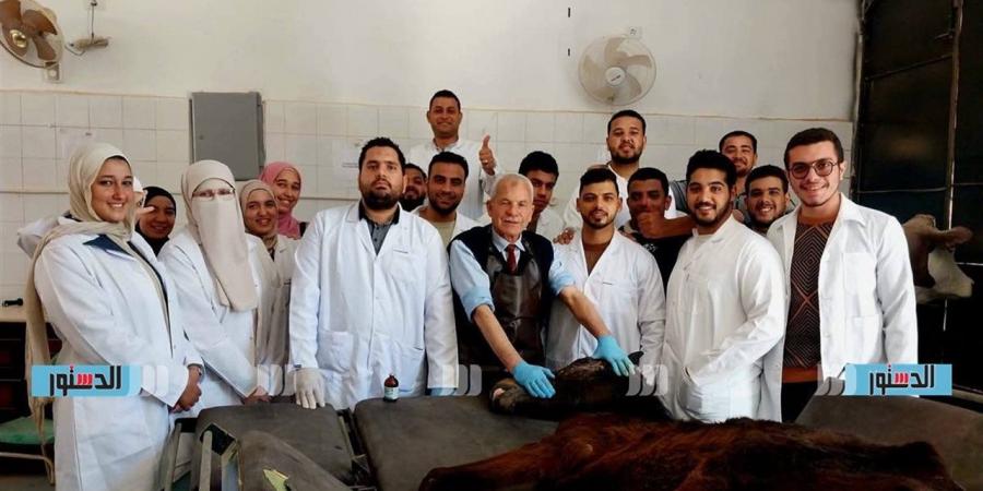 تدريب عملي متقدم لطلاب "بيطري مطروح" على جراحات الخيول