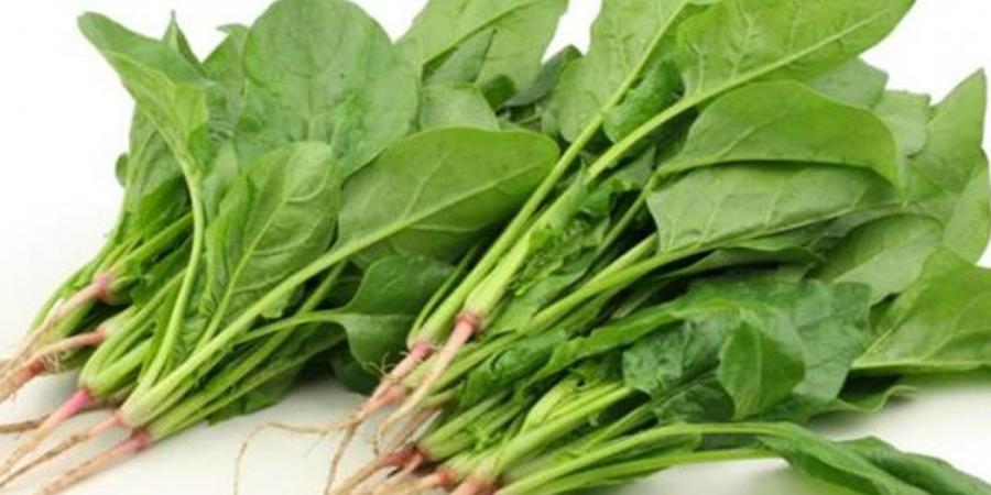 نصائح عامة للحد من مخاطر السبانخ