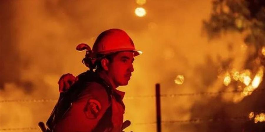 حريق هائل في كاليفورنيا يهدد إمدادات المناديل لملايين الأمريكيين