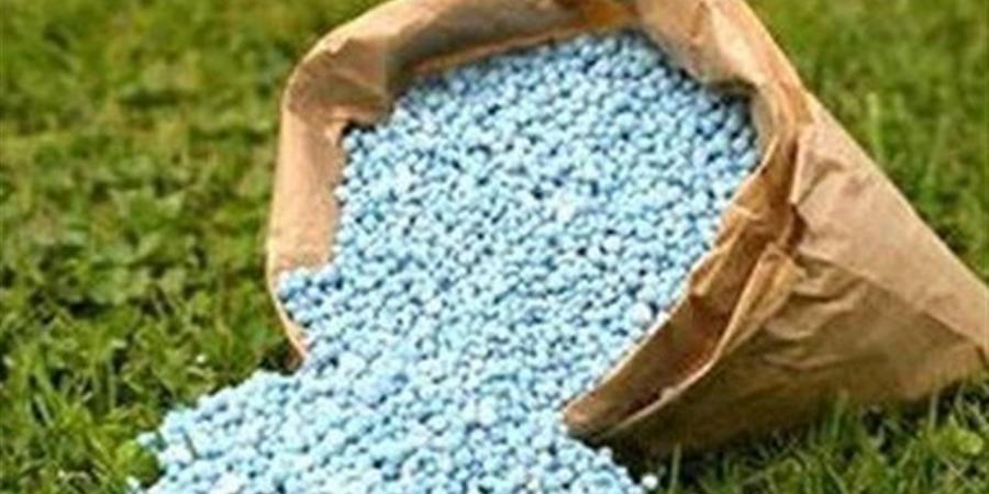 "زراعة بني سويف": توفير الأسمدة والتقاوي وحماية الأراضي الزراعية من التعديات