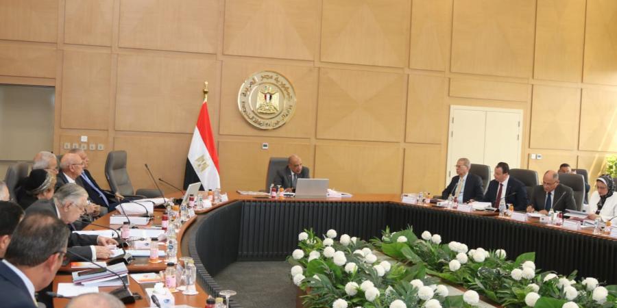 الكهرباء: 13.1 مليار جنيه استثمارات الكهرباء و224.64 مليار كيلووات/ساعة طاقة مولدة لخدمة 44 مليون مشترك