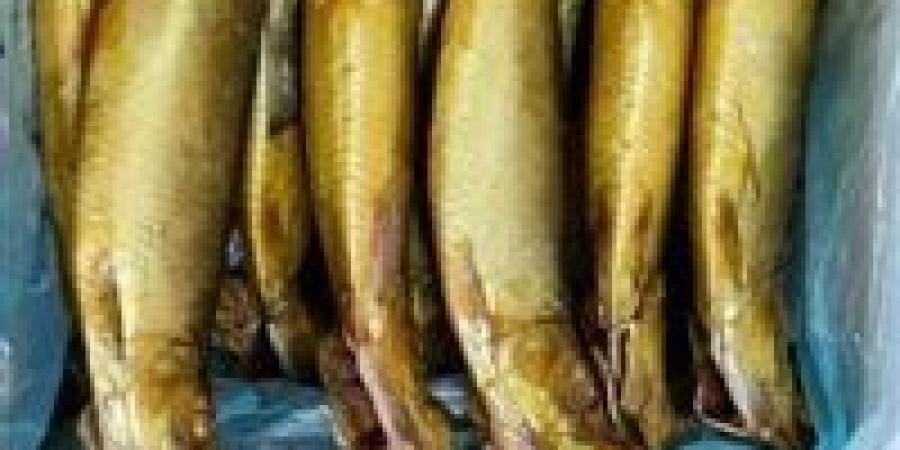 وزارة التموين تطرح الرنجة بالمجمعات الاستهلاكية بأسعار مخفضة بمناسبة شم النسيم