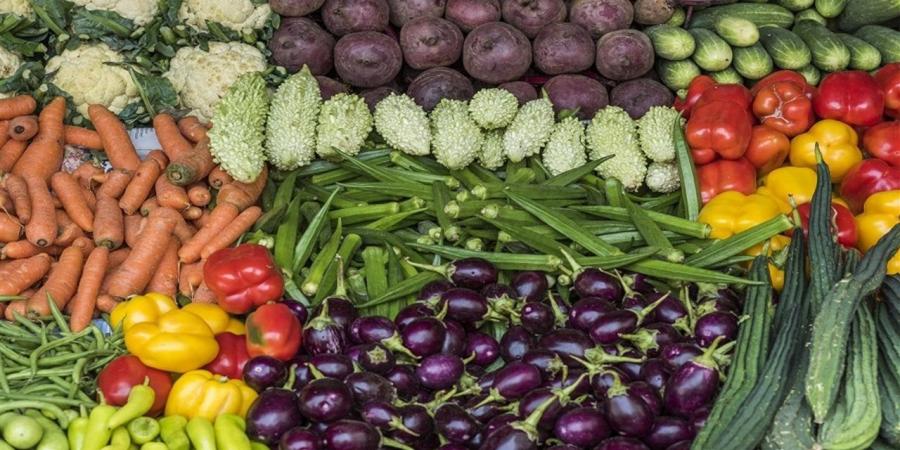 أسعار الخضروات والفاكهة أسواق محافظة الغربية اليوم السبت 11 إبريل 2026