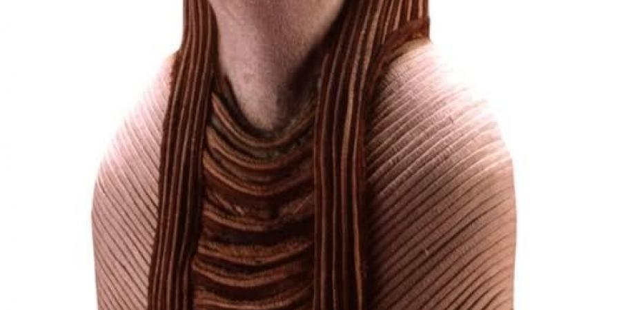 مومياوات الصقور فى مصر القديمة.. طقوس تحنيط الطائر