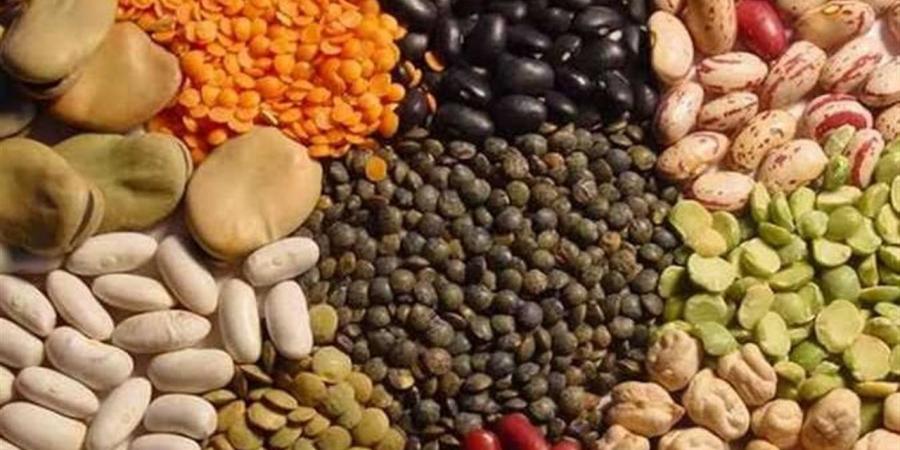 أسعار البقوليات اليوم السبت 11 أبريل 2026 في أسواق محافظة الغربية