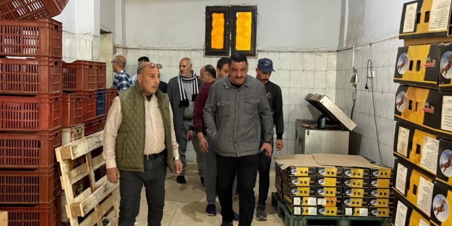 ضبط نصف طن أسماك مدخنة "رنجة" غير صالحة للإستهلاك الآدمي بالشرقية