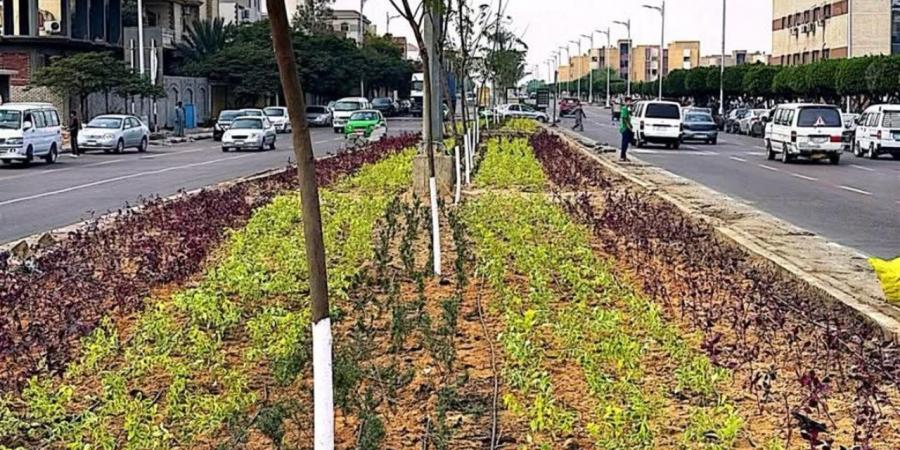 مدينة السادات تتجمل وترفع درجة الاستعداد لاستقبال أعياد الربيع وشم النسيم