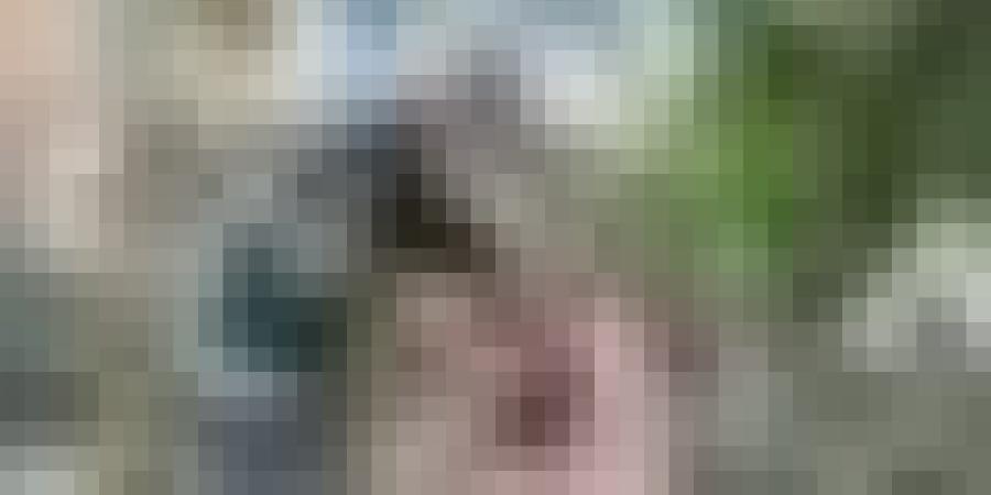 تدخلات الحماية المدنية إثر التقلبات الجوية الأخيرة