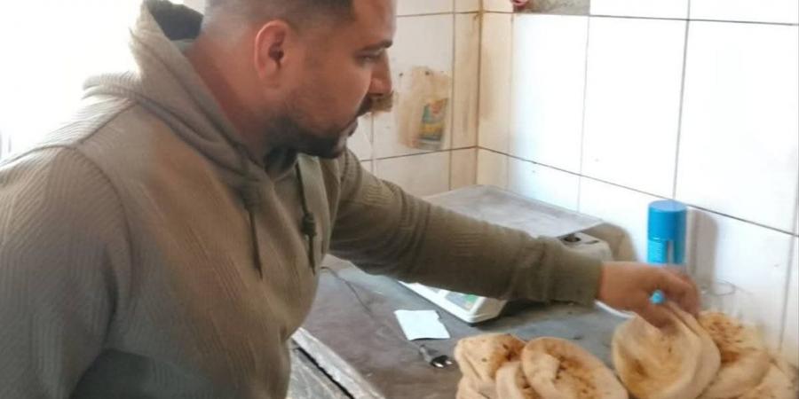 حملات تموينية مكثفة بالقليوبية تضبط مخالفات بالمخابز والأنشطة التجارية وتحرر 28 محضرًا