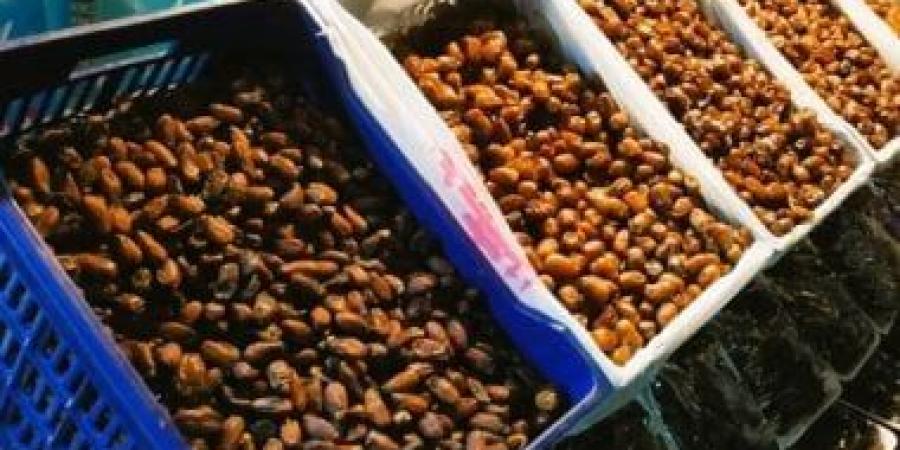 المجلس الدولى للتمور فى الرياض يرحب بانضمام ليبيا عضوًا رسميًا