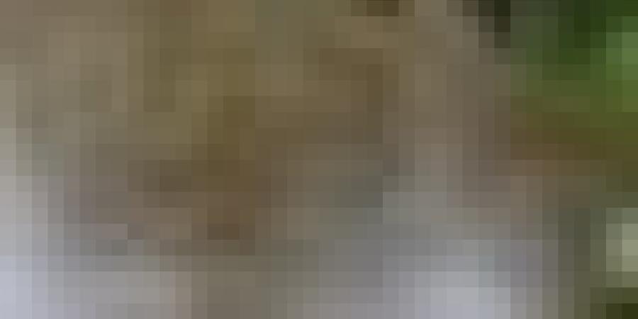 نشرية خاصة: أمطار معتبرة تضرب عدة ولايات