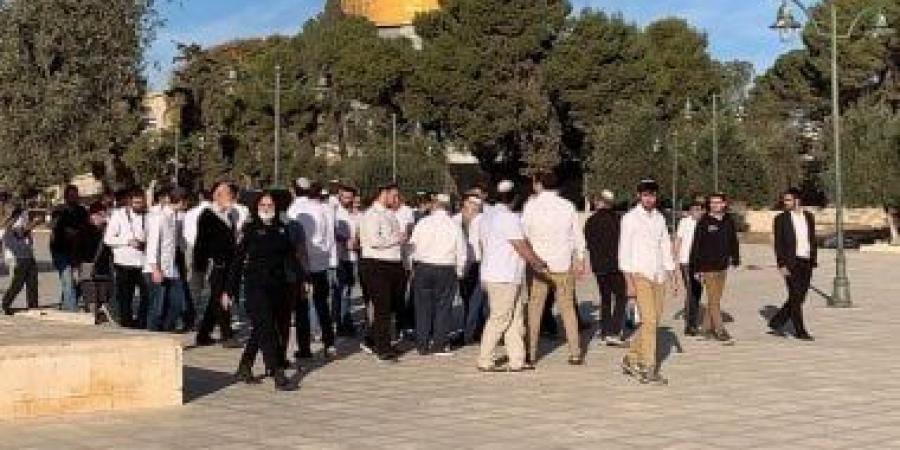 مستوطنون يهاجمون مركبات الفلسطينيين شمال شرق القدس