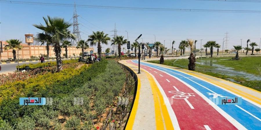 العبور الجديدة تكثف حملات النظافة والتجميل بجميع الأحياء خلال شم النسيم