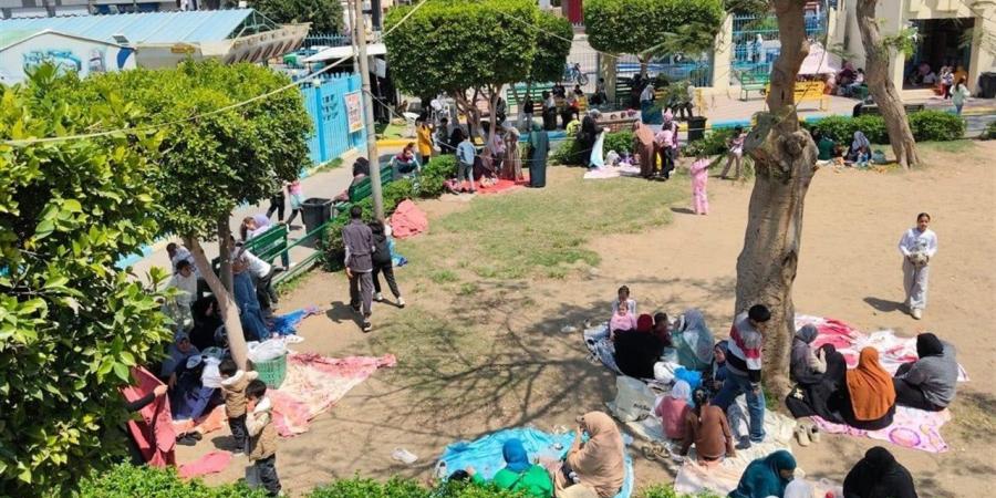 وزيرة التنمية المحلية تتابع جهود المحافظات لتأمين الخدمات واحتفالات شم النسيم