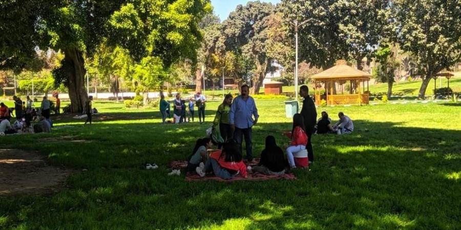 أجواء سعيدة.. شاهد احتفالا المصريين بشم النسيم في الحدائق (بث مباشر)