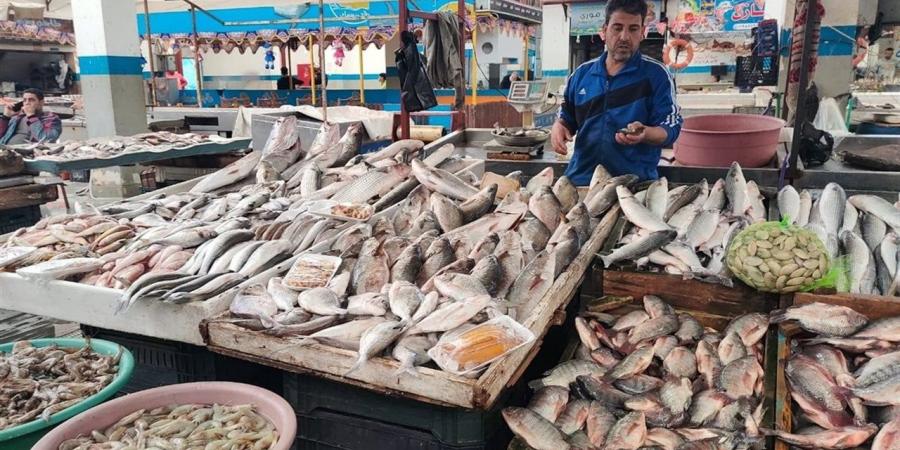 بورصة الأسماك بالبحيرة اليوم.. استقرار "البلطي" وإقبال لافت على المملحات بدمنهور وإدكو