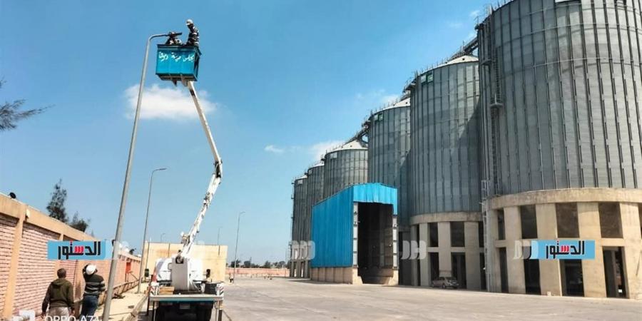 استعدادا للتوريد.. تطوير منظومة الإنارة العامة بمحيط صوامع دسوق في كفر الشيخ