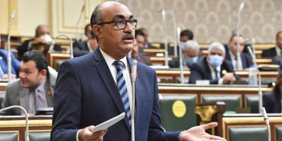 إيهاب منصور: قانون الإدارة المحلية يحتاج حوارًا مجتمعيًا شاملًا وتوافقًا دستوريًا قبل إقراره