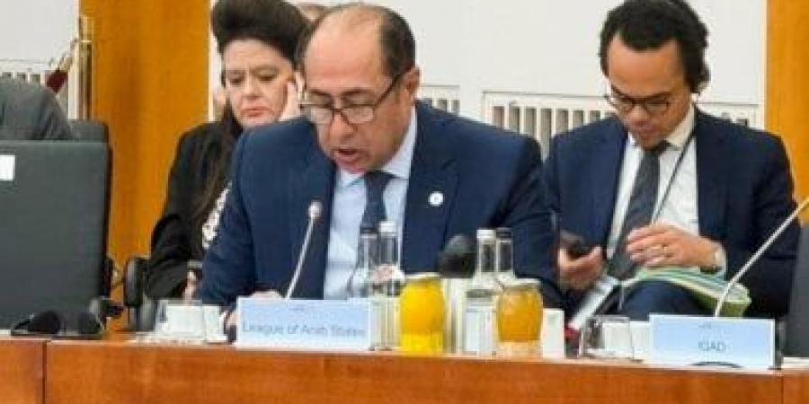 حسام زكى: نجاح أى تسوية بالسودان يتطلب تكامل المسار السياسى مع وقف النار