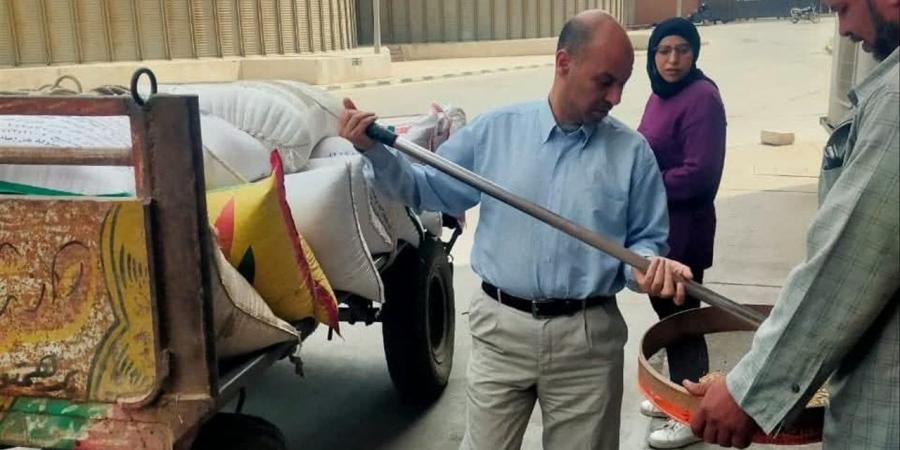"تموين الدقهلية": جاهزية 36 موقعًا لاستقبال القمح 2026