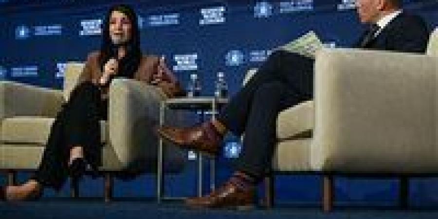 وزير إماراتية: يجب ألا يخضع مضيق هرمز لسيطرة أي طرف.. وإعادة فتحه أولوية