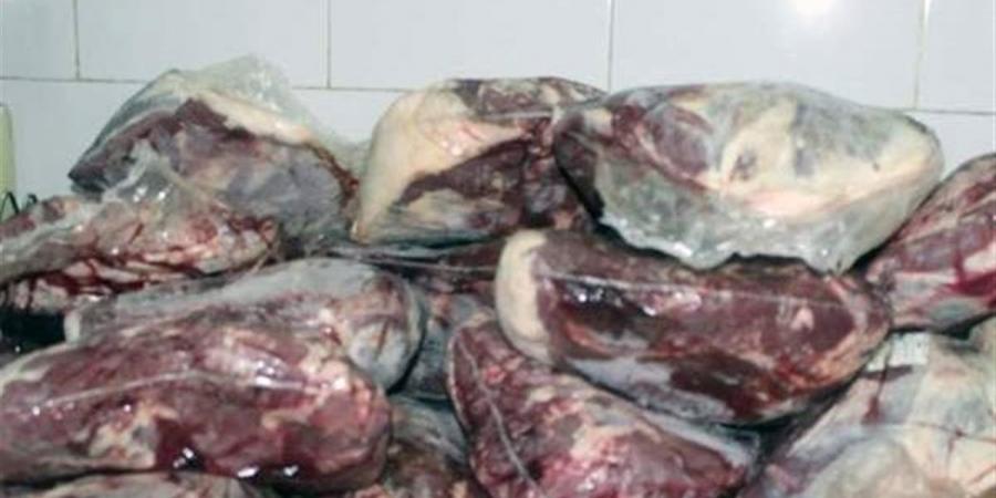 ضبط لحوم ودواجن فاسدة و411 قطعة غيار سيارات مجهولة المصدر بالغربية