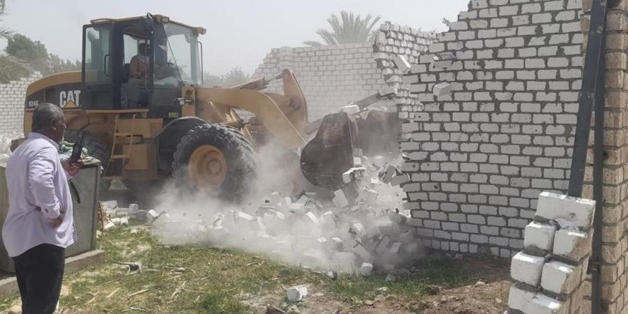 خلال مرور ميداني.. "زراعة الجيزة" تزيل تشوينات وتعديات على الأراضي الزراعية