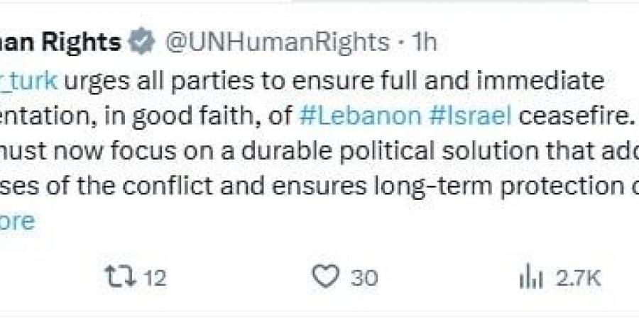 فولكر تورك: وقف إطلاق النار في لبنان يجب أن يكون أساسًا لتسوية شاملة