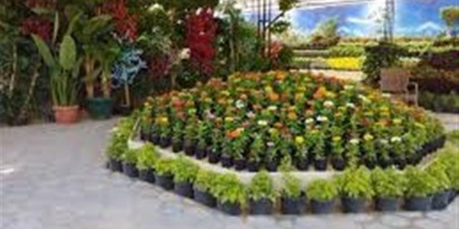 ما الذي يميز الدورة الـ93 من معرض زهور الربيع؟.. متحدث الزراعة يجيب