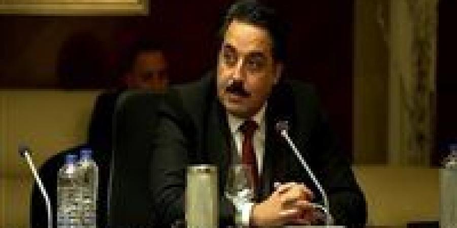 قيادي بحزب الجيل: توجيهات الرئيس بتذليل عقبات الاستثمار الضمانة الأقوى للمستثمر في عهد الجمهورية الجديدة